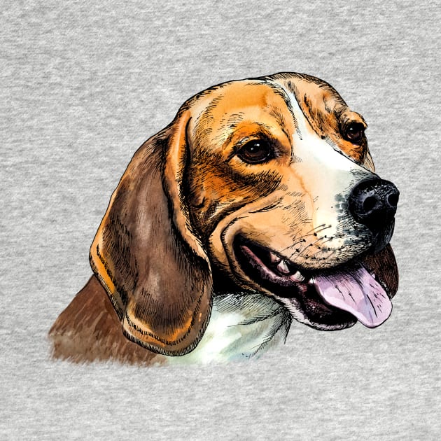 beagle by VicaVeresk